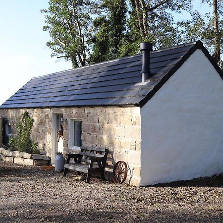 Cosy Couples Retreat At The Coop With Hot Tub Villa Kilkeel Eksteriør billede